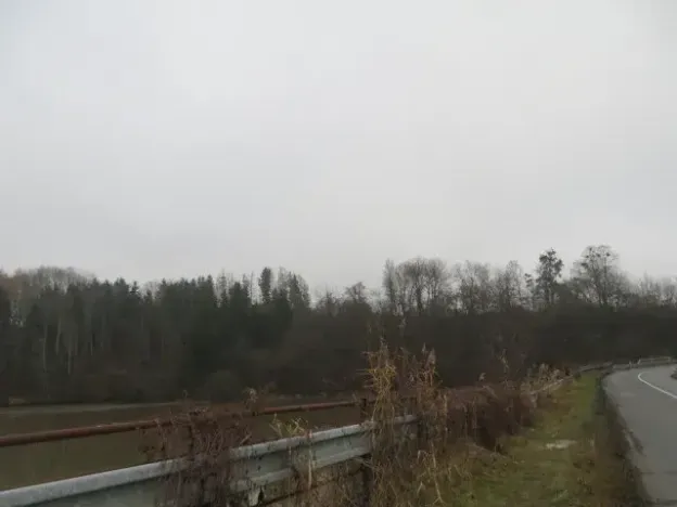 Dražba lesa, Zlín, 6641 m2