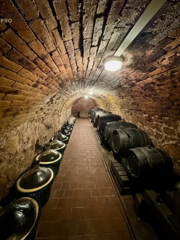 Prodej rodinného domu, Valtice - Úvaly, 101 m2