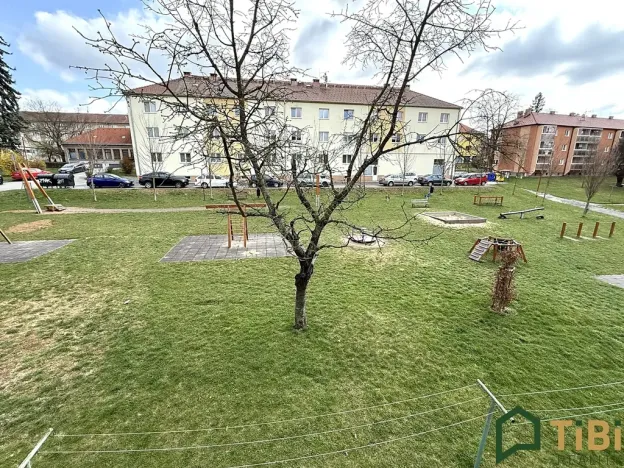 Prodej bytu 1+1, Blansko, Chelčického, 29 m2