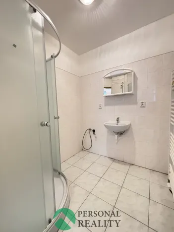 Prodej vícegeneračního domu, Chlumec nad Cidlinou, Pražská, 265 m2