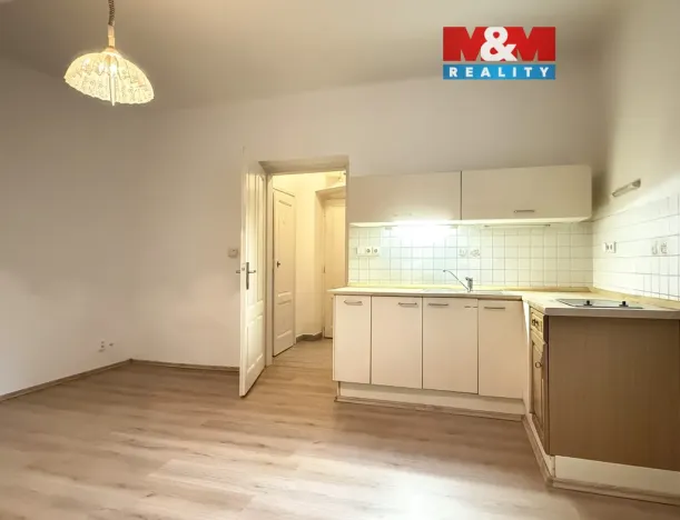 Pronájem bytu 1+kk, Plzeň - Jižní Předměstí, Němejcova, 33 m2