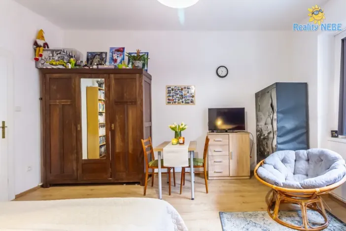 Prodej bytu 1+1, Praha - Nusle, U družstev, 35 m2