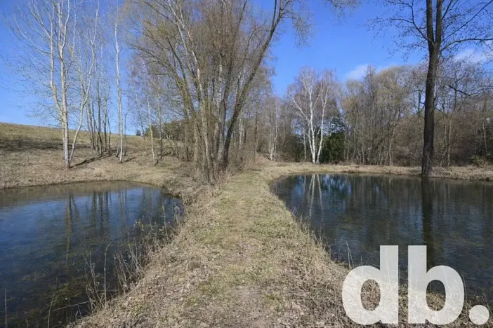 Prodej rybníku, Toužim, 5506 m2