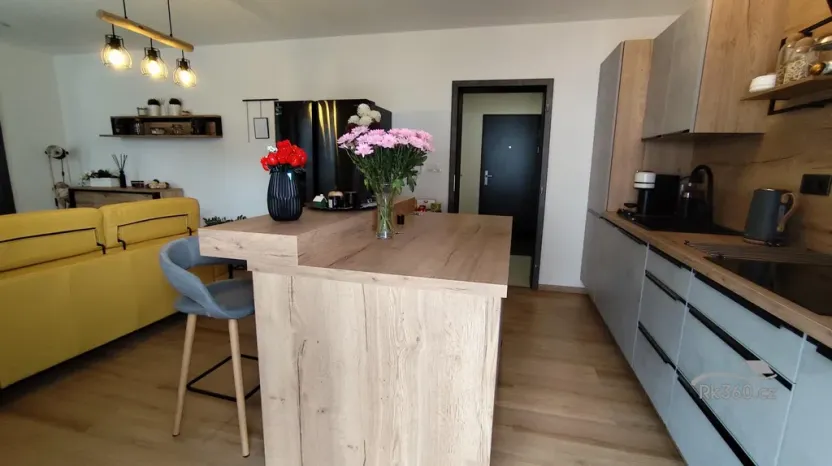 Prodej bytu 2+kk, Ostrava - Michálkovice, Kasalického, 132 m2