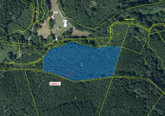 Dražba lesa, Čestín, 13976 m2