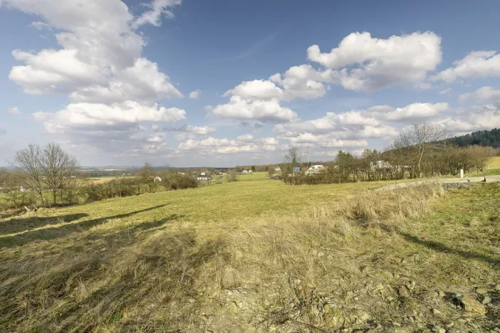 Prodej pozemku, Vyšní Lhoty, 3033 m2