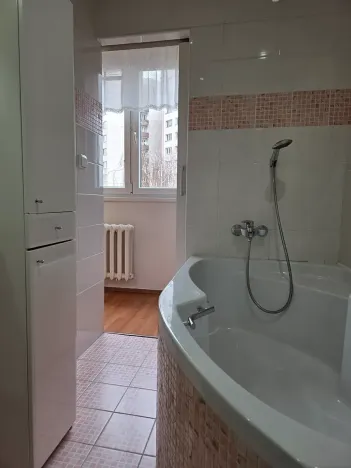 Pronájem bytu 2+1, Frýdek-Místek, Anenská, 67 m2