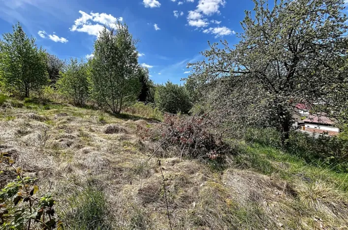 Prodej pozemku pro bydlení, Kraslice, 1039 m2