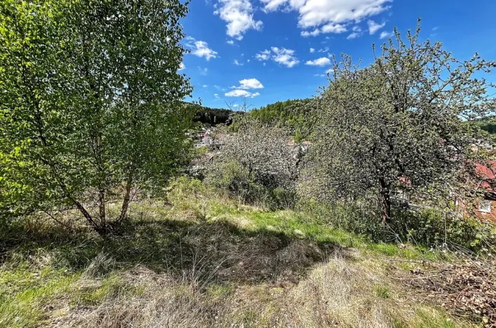 Prodej pozemku pro bydlení, Kraslice, 1039 m2