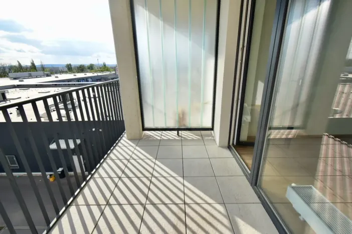 Pronájem bytu 1+kk, Brno - Slatina, Řípská, 40 m2