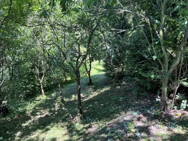 Prodej chaty, Praha - Vysočany, Na Balkáně, 40 m2