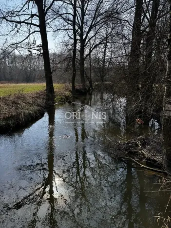 Prodej komerčního pozemku, Dolní Cerekev, 16901 m2