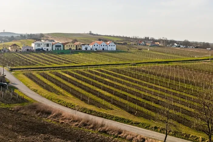 Prodej rodinného domu, Dolní Dunajovice, Rudé armády, 203 m2