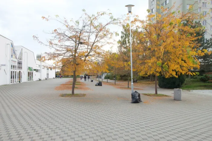 Pronájem obchodního prostoru, Plzeň - Skvrňany, Karla Steinera, 14 m2