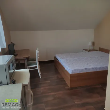 Pronájem bytu 1+kk, Uherské Hradiště, Velehradská třída, 25 m2