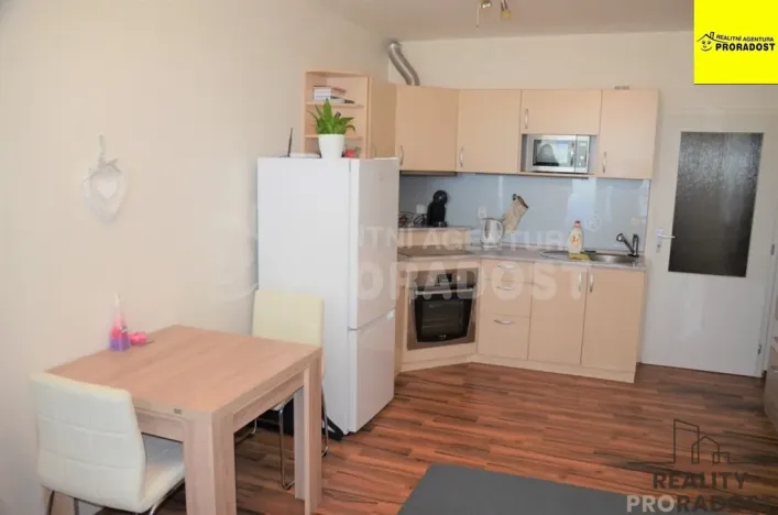 Pronájem bytu 1+kk, Jihlava, Zimní, 30 m2