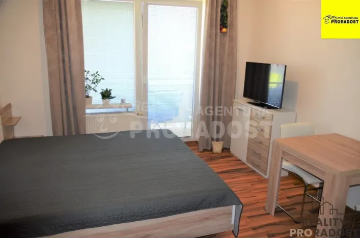 Pronájem bytu 1+kk, Jihlava, Zimní, 30 m2