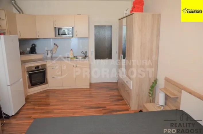Pronájem bytu 1+kk, Jihlava, Zimní, 30 m2