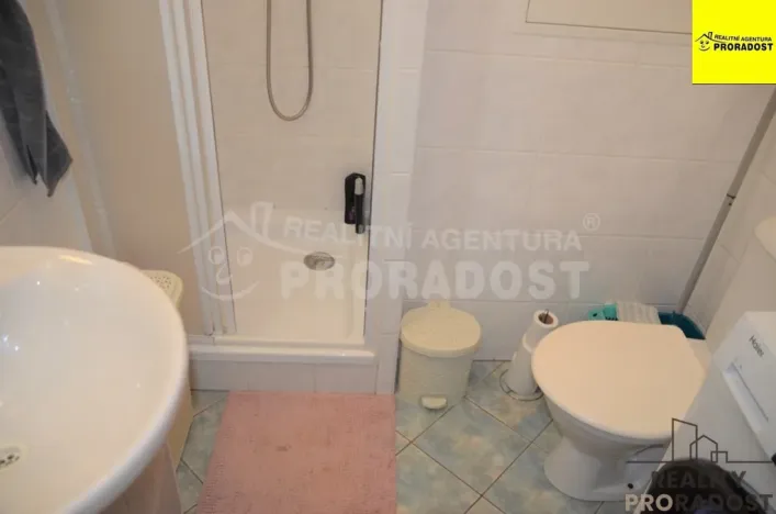 Pronájem bytu 1+kk, Jihlava, Zimní, 30 m2