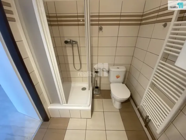 Pronájem bytu 1+1, Dobřany, Palackého, 35 m2