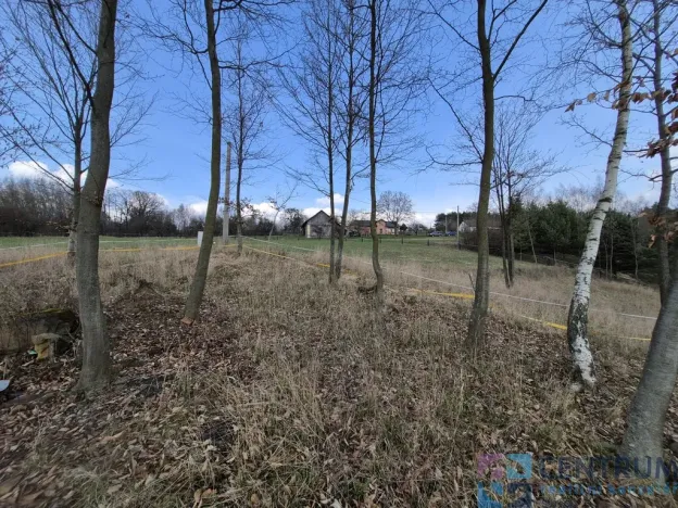 Prodej pozemku, Libuň - Jivany, 11210 m2