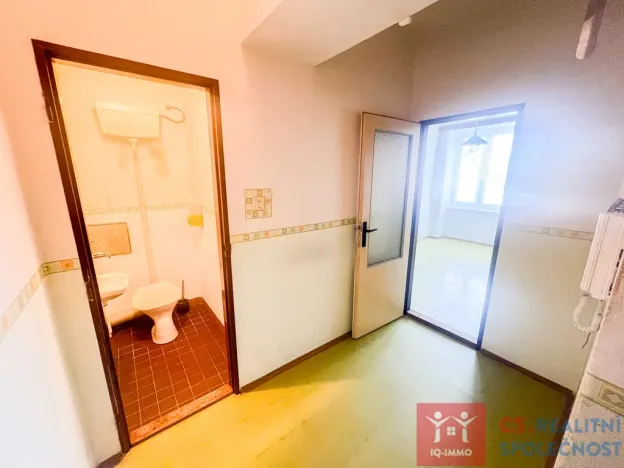 Prodej bytu 1+1, Znojmo, Loucká, 42 m2