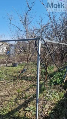 Prodej zahrady, Chomutov, Na Průhoně, 363 m2