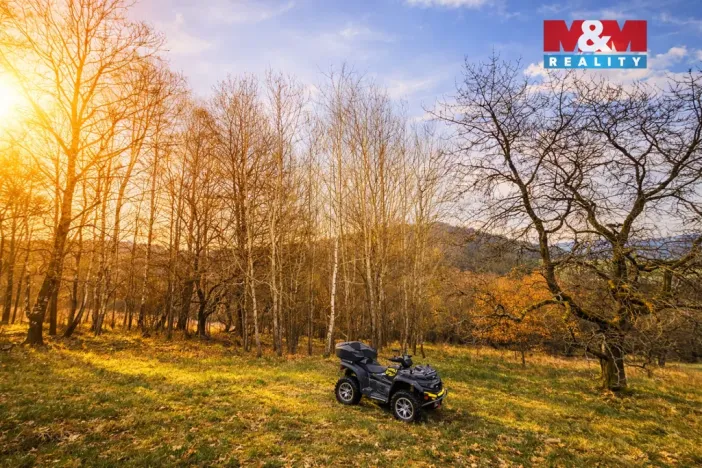 Prodej louky, Mikulůvka, 4458 m2