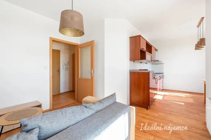 Pronájem bytu 2+kk, Klecany, V Honech, 47 m2