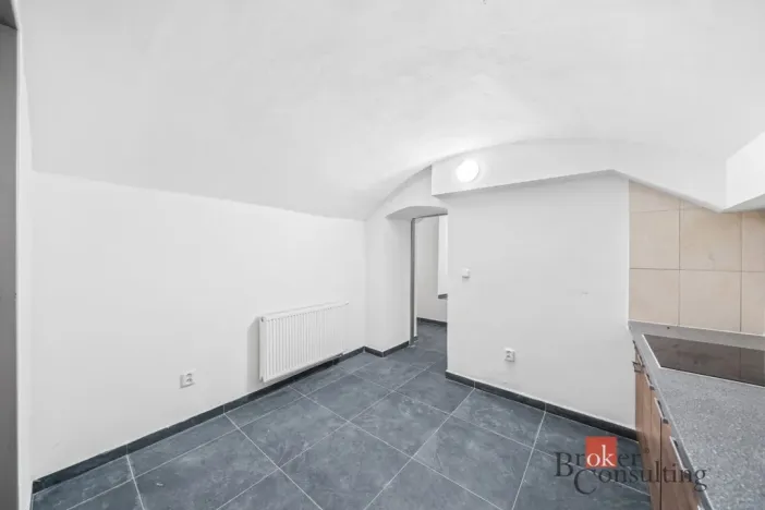 Pronájem - jiné, Plzeň - Jižní Předměstí, Husova, 110 m2