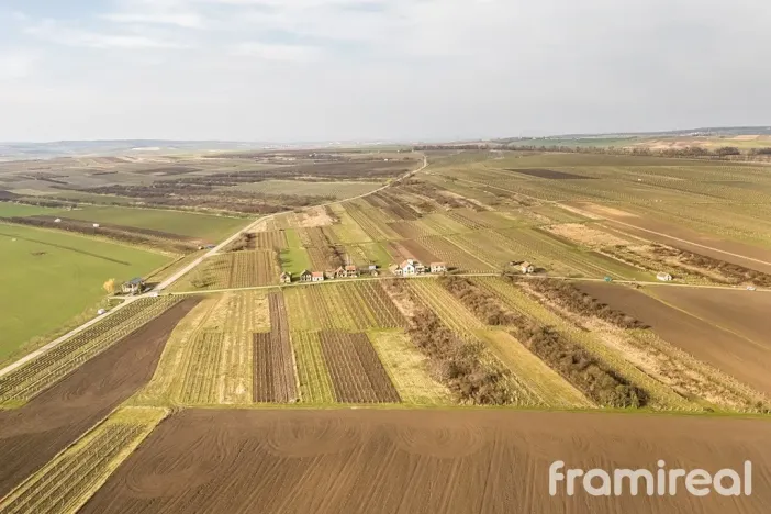 Prodej pozemku pro bydlení, Moravský Žižkov, 1593 m2
