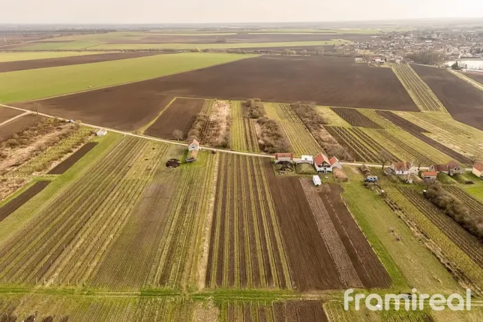 Prodej pozemku, Moravský Žižkov, 2781 m2