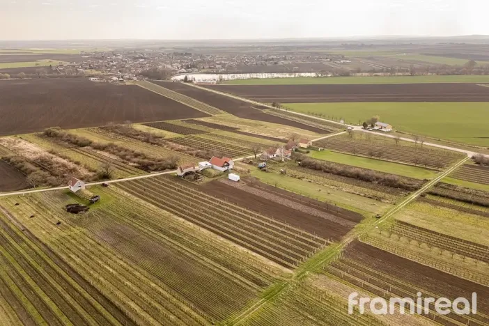 Prodej pozemku, Moravský Žižkov, 2781 m2