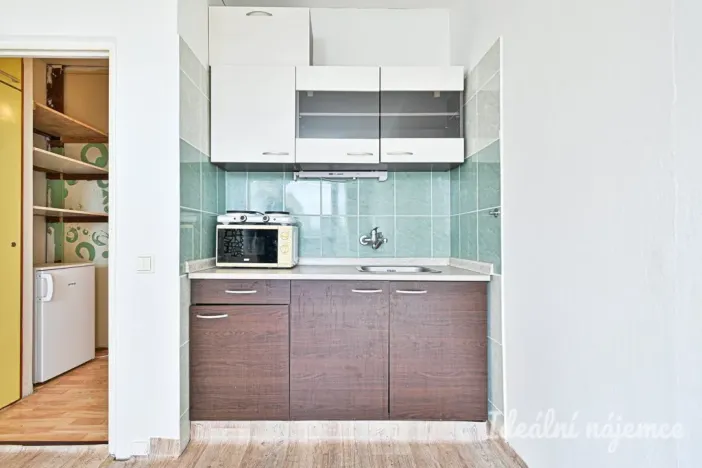 Pronájem bytu 1+kk, Brno, Halasovo náměstí, 22 m2