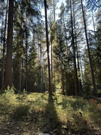 Prodej pozemku pro bydlení, Lipno nad Vltavou, 1074 m2