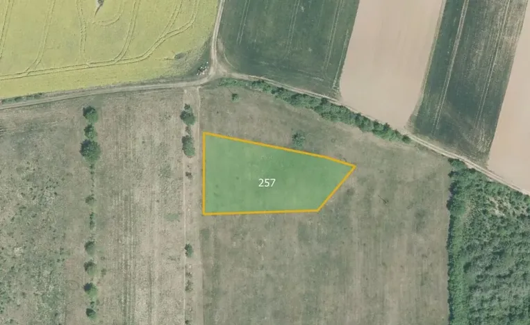 Prodej sadu/vinice, Troubky-Zdislavice, 6725 m2