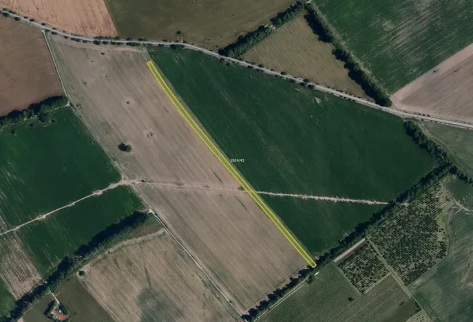 Prodej pole, Mikulčice, 8312 m2