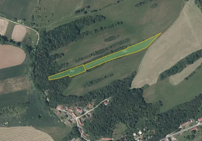 Prodej louky, Nesvačily, 9239 m2