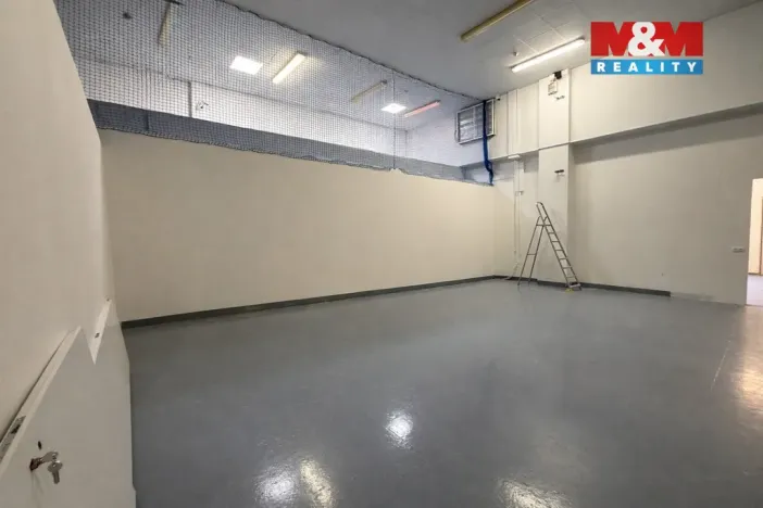 Pronájem skladu, Praha - Strašnice, K Červenému dvoru, 22 m2