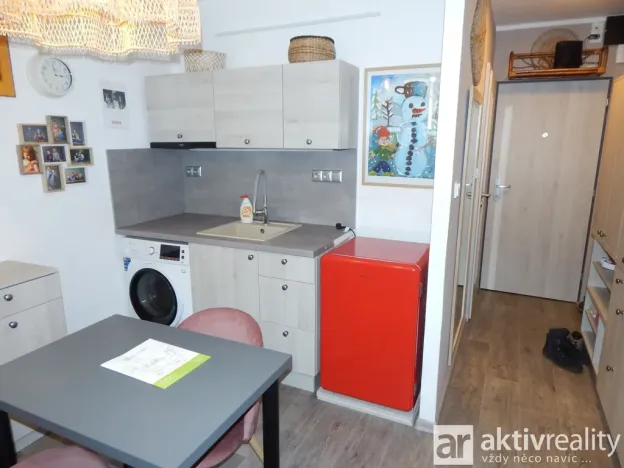 Prodej bytu 1+kk, Chomutov, Kostnická, 19 m2