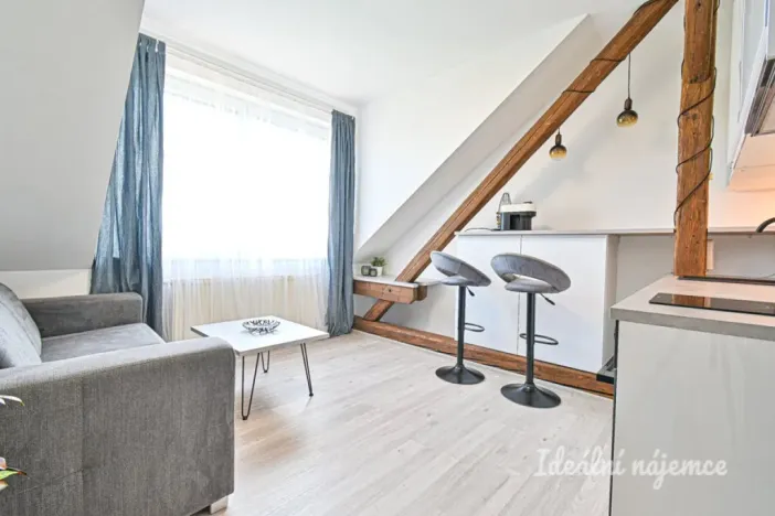 Pronájem bytu 1+kk, Brno - Královo Pole, Slovinská, 23 m2