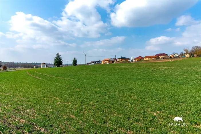 Prodej pozemku pro bydlení, Čermná, 894 m2