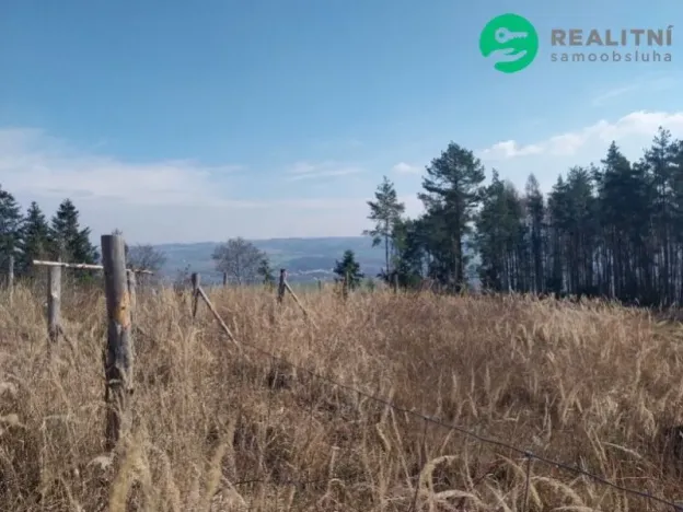 Prodej lesa, Spešov, 2643 m2