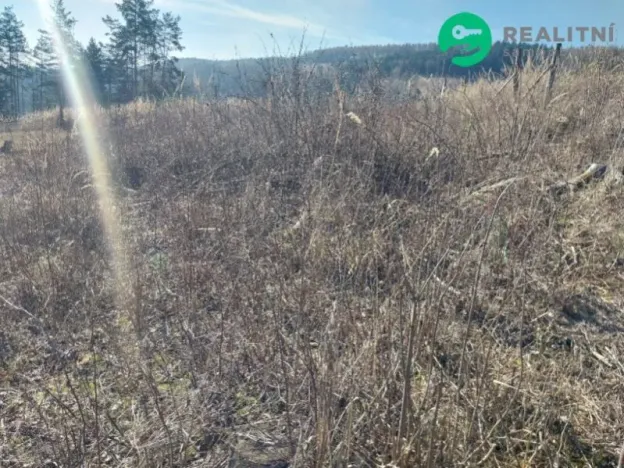 Prodej lesa, Spešov, 2643 m2