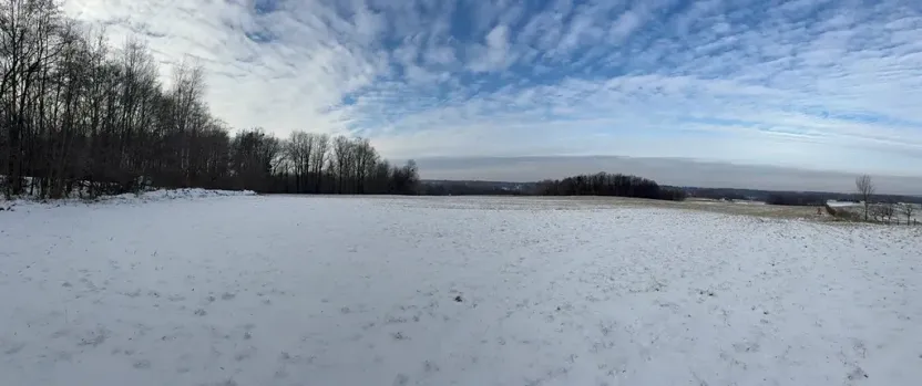 Prodej louky, Bruzovice, 94427 m2