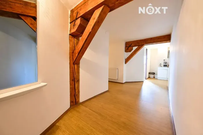 Prodej obchodního prostoru, Bílovec, 817 m2