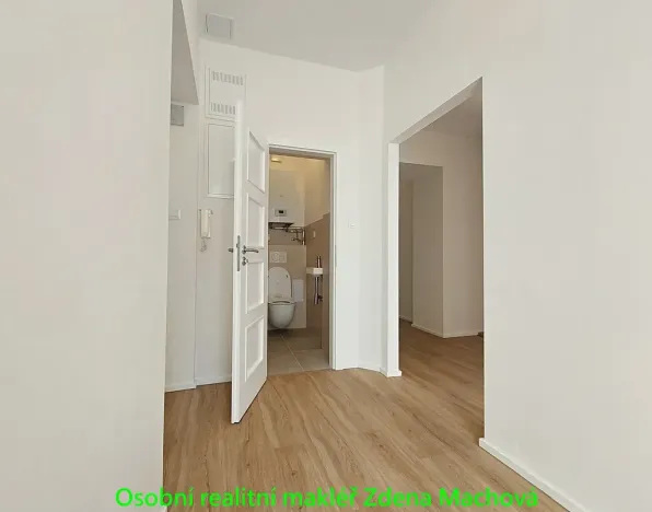 Pronájem bytu 1+1, Praha - Vinohrady, Písecká, 52 m2