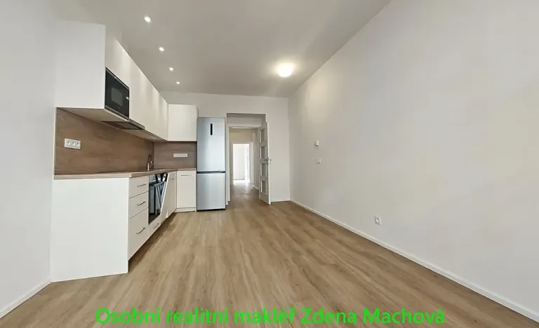 Pronájem bytu 1+1, Praha - Vinohrady, Písecká, 52 m2