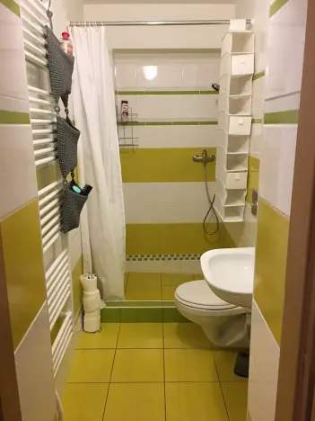 Prodej ubytování, Olomouc, Rejskova, 154 m2