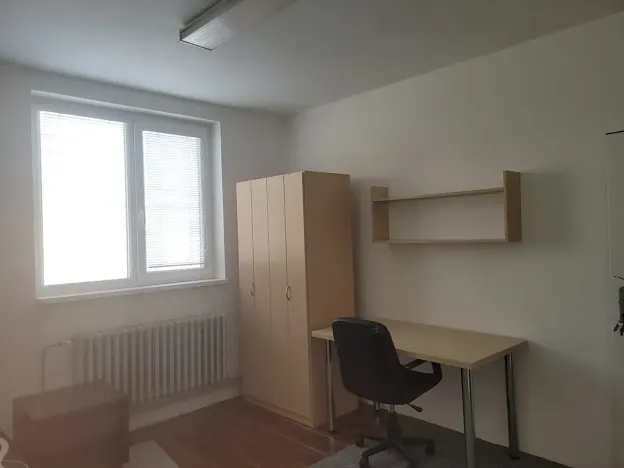 Pronájem pokoje, Brno, Vídeňská, 12 m2